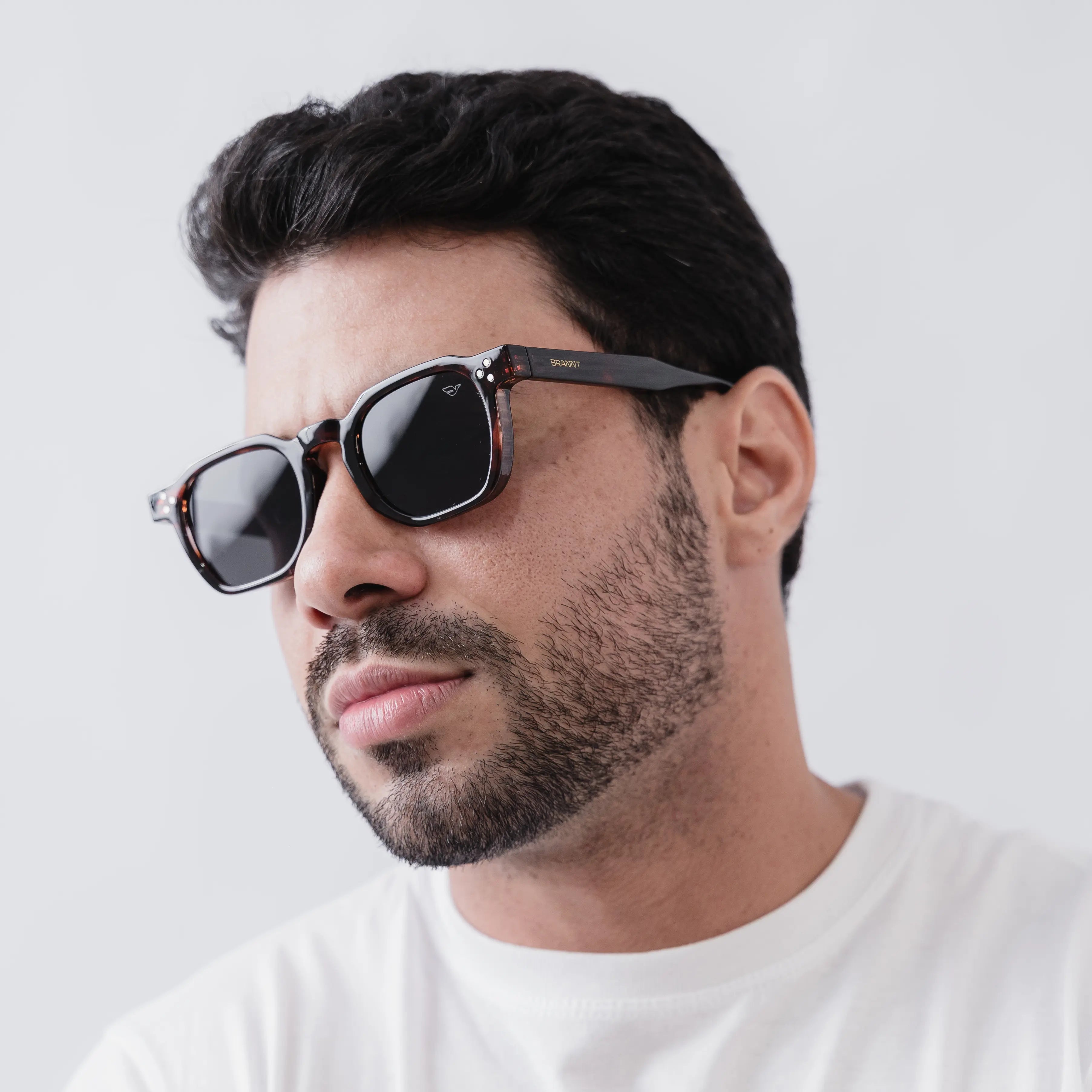 https://brannt.com.br/products/oculos-de-sol-horizon-tartaruga-brannt?_pos=1&_psq=tartaruga&_ss=e&_v=1.0